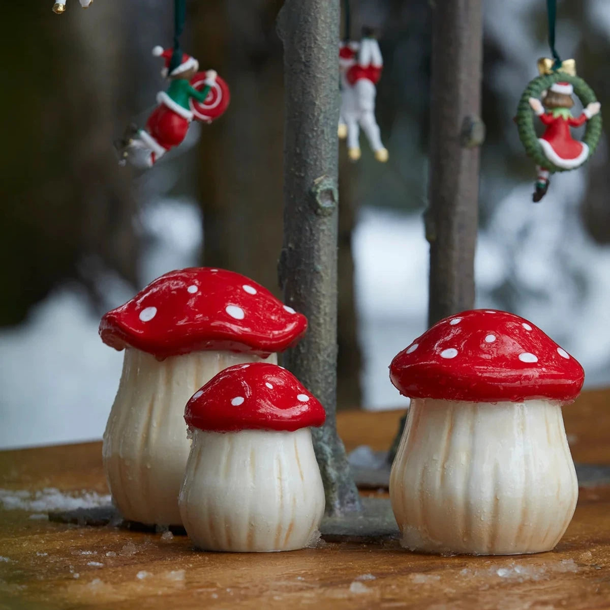 barattoli cucina fungo