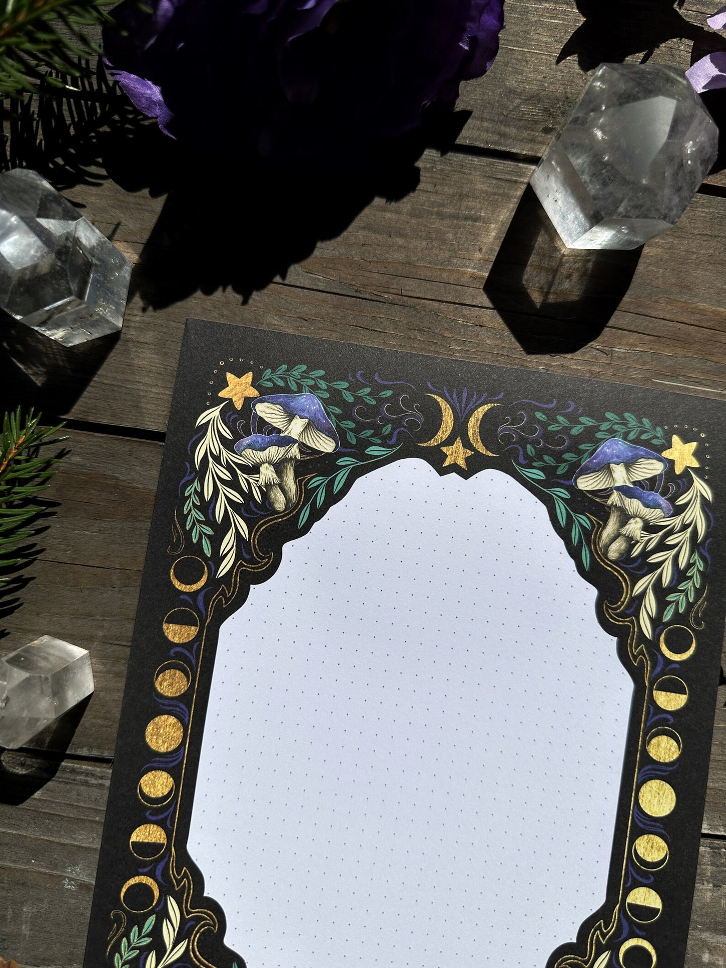 blocco note illustrato funghi e falene