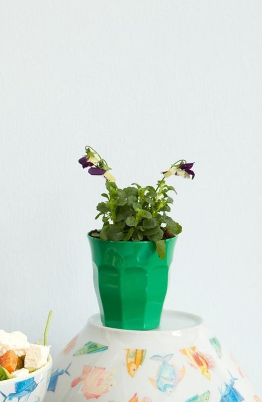 tazza verde melamina