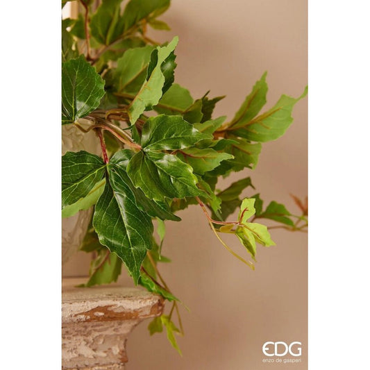 EDG - Pianta artificiale Cissus