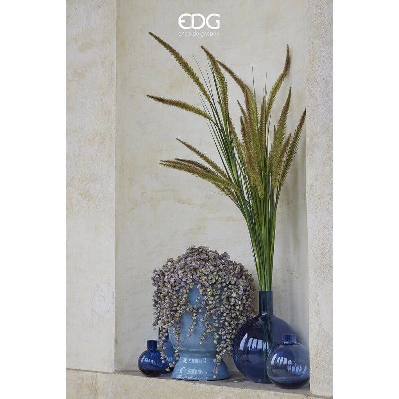 EDG - Ramo di Echeveria