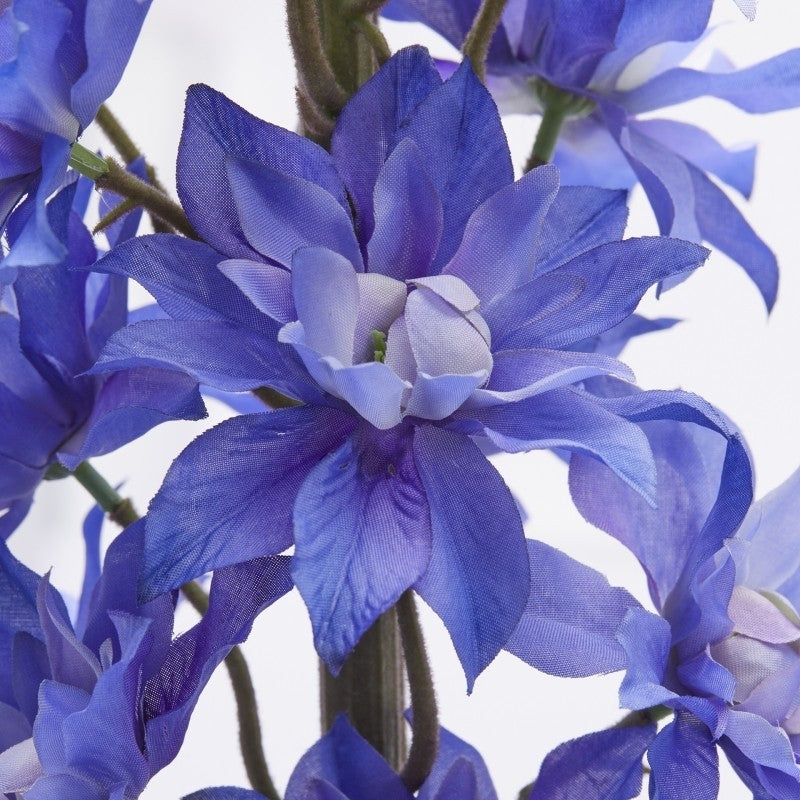 fiore delphinium edg decorativo
