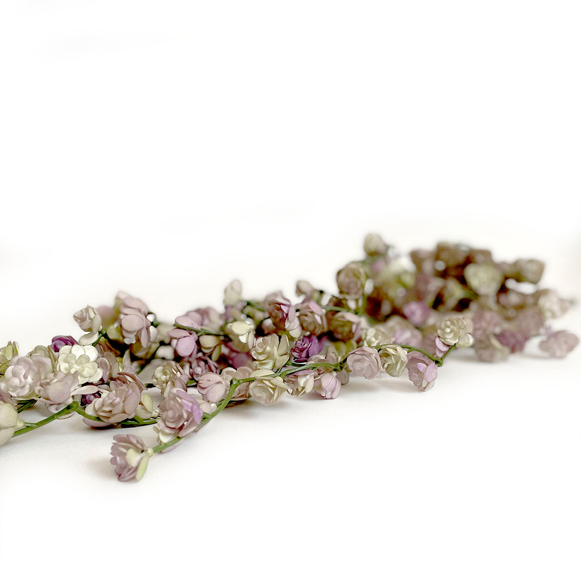 edg fiore lilla