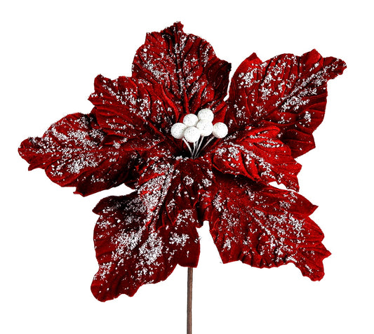 decorazione natalizia poinsettia rossa innevata