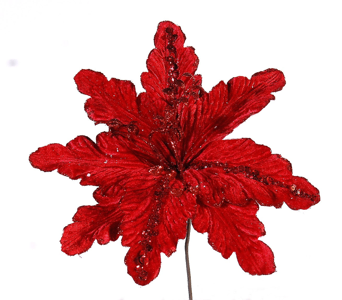 Poinsettia stella di natale rossa