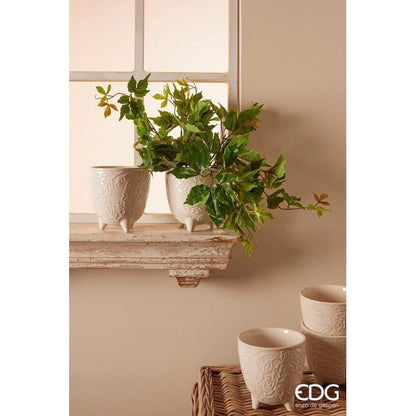 EDG - Pianta artificiale Cissus