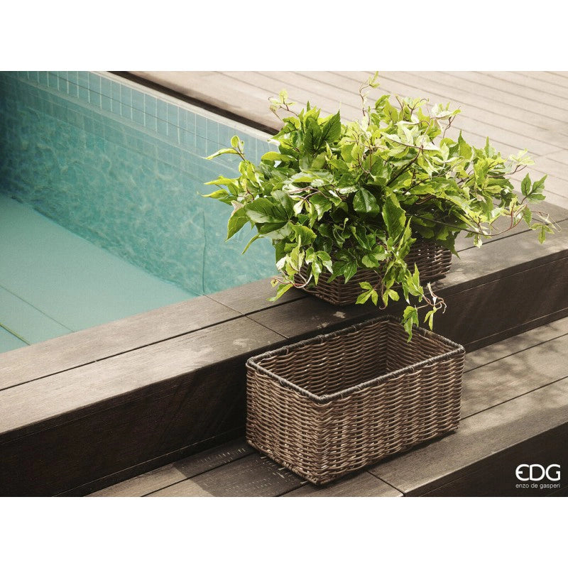 EDG - Pianta artificiale Cissus