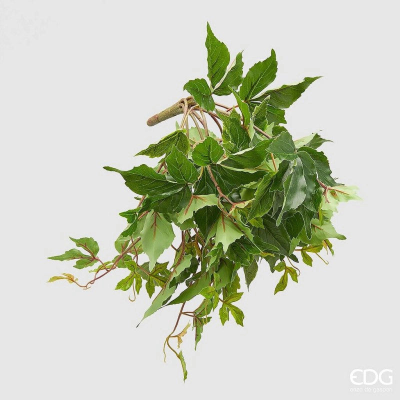 fiori finti edg cissus cadente edg
