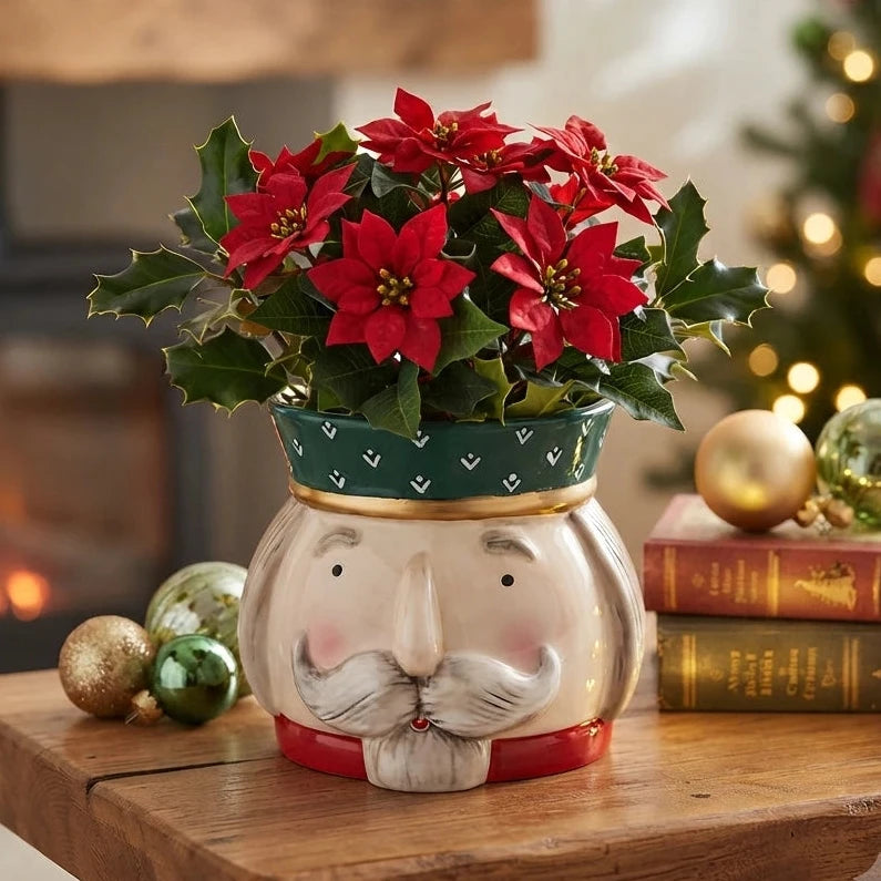 edg vaso natalizio viso nutcracker baffi