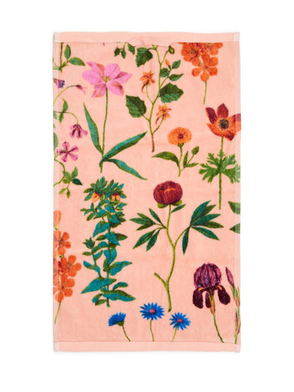 Essenza - Marigold set asciugamani viso e ospite Rosa