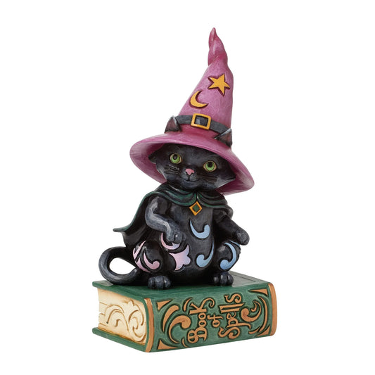 gatto nero Salem halloween