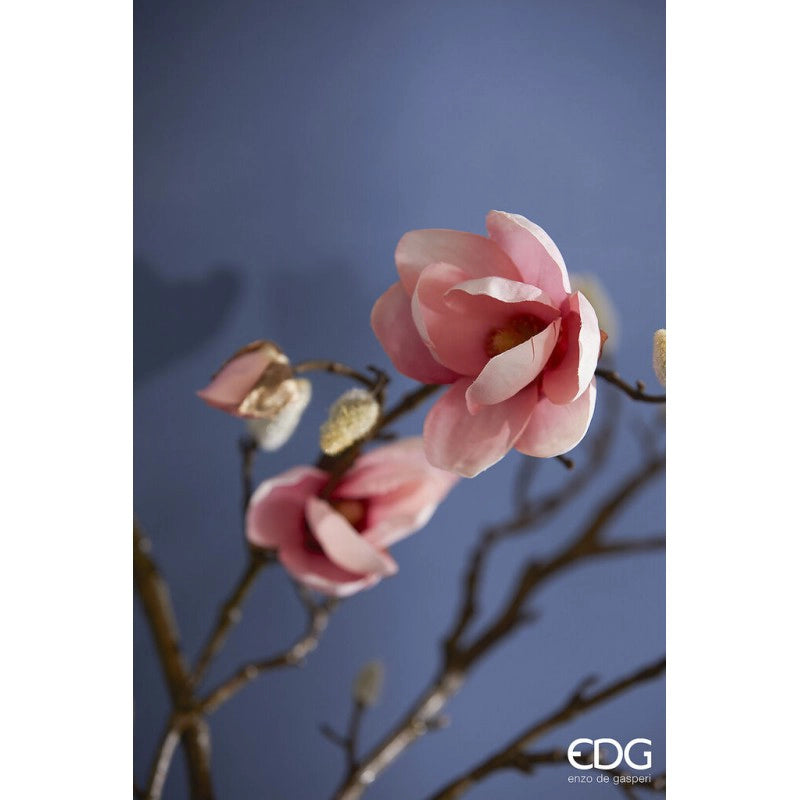 EDG - Ramo di Magnolia