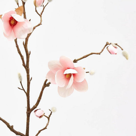 EDG - Ramo di Magnolia
