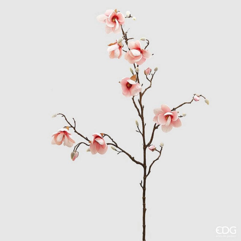 EDG - Ramo di Magnolia
