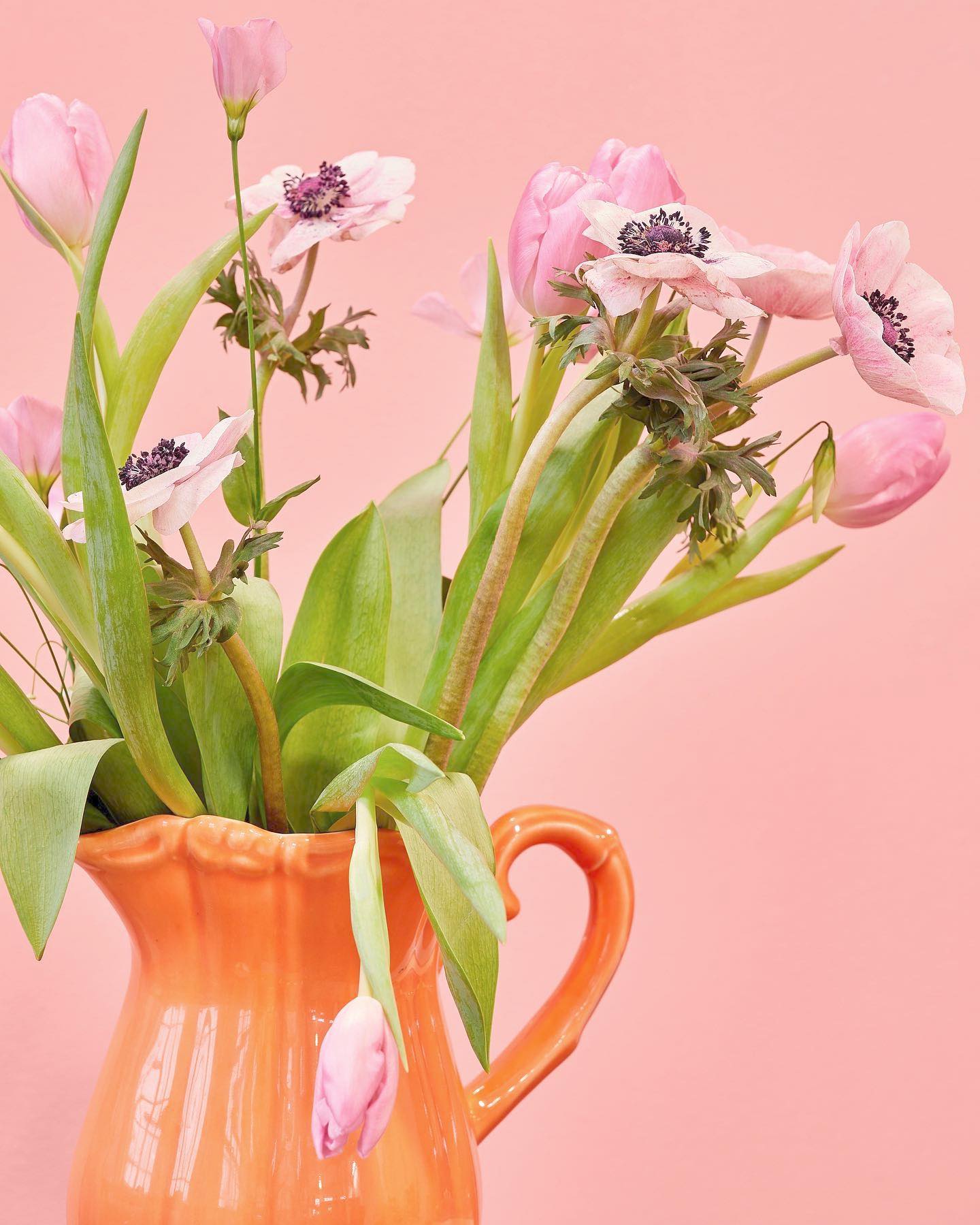 vaso corallo ceramica decorazione casa