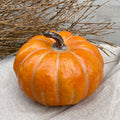 zucca arancione decorazione autunno