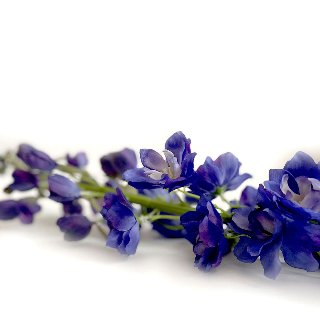 dettaglio fiore delphinium 