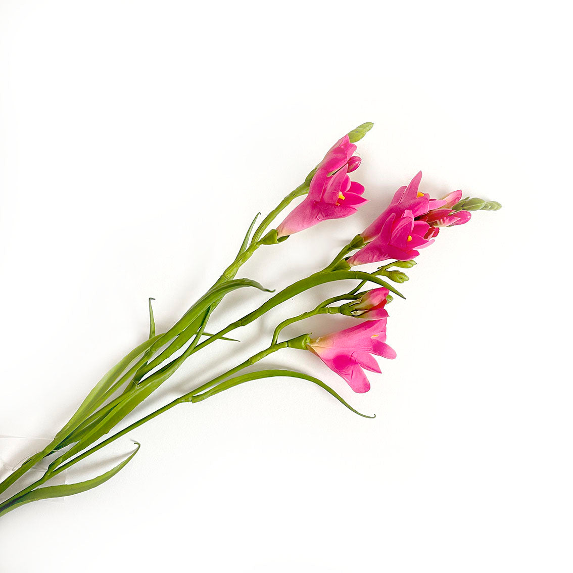 fiore di fresia artificiale edg