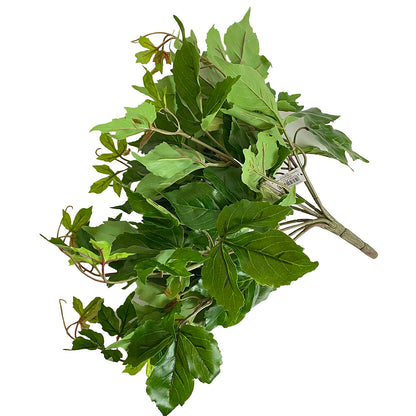 pianta artificiale Cissus edg